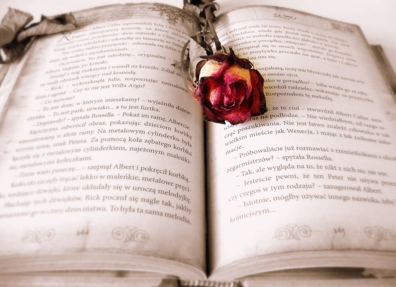 Vintage book